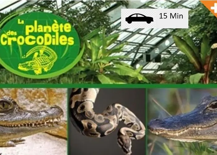 Superbe Comfortable Chu Et Universite Apartment *