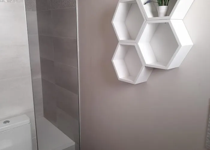 Superbe Comfortable Chu Et Universite